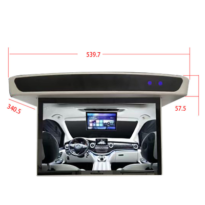 Limousine Van RV MOTORHOME MOTORIZED FLIP DOWN CEILING TV Television