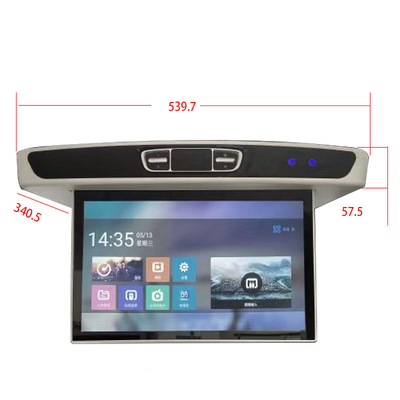 Limousine Van RV MOTORHOME MOTORIZED FLIP DOWN CEILING TV Television