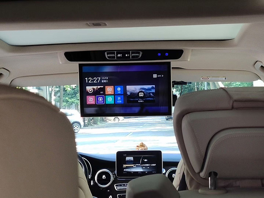 Limousine Van RV MOTORHOME MOTORIZED FLIP DOWN CEILING TV Television